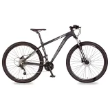 Bic Free AC Aro 29 Aluminio 27V Masc Flexus 4.0 Disk Brake Grafito/Gris