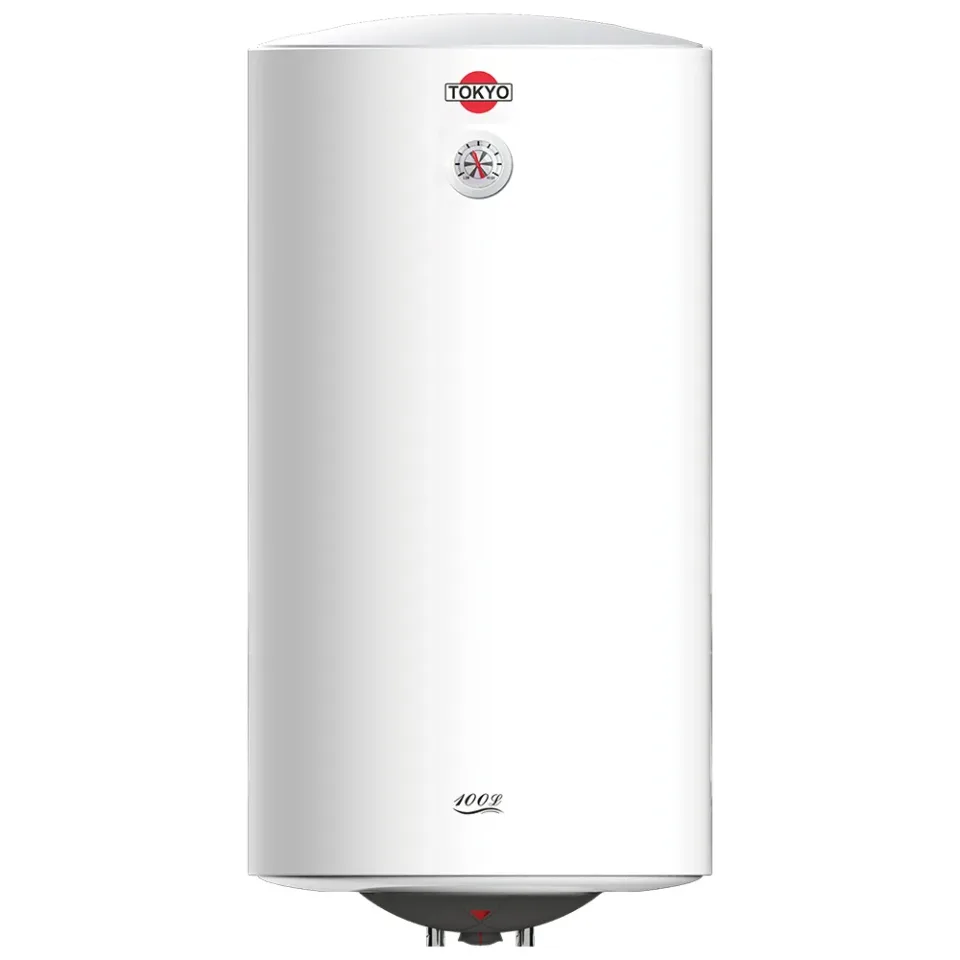 Termocalefón Tokyo modelo D10015F3-NV Vertical 100LTS 1500W 220V-50HZ